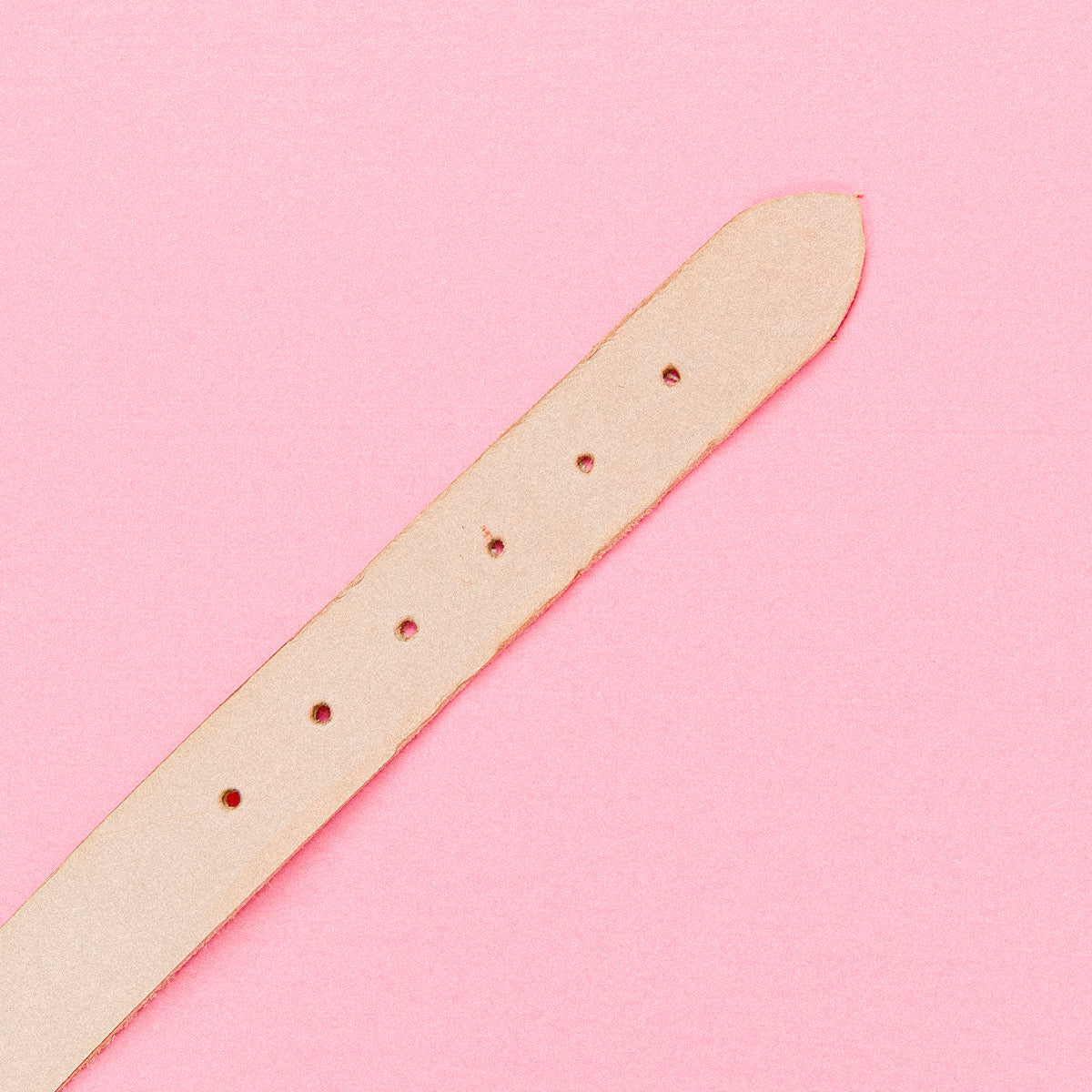 Dog Collar