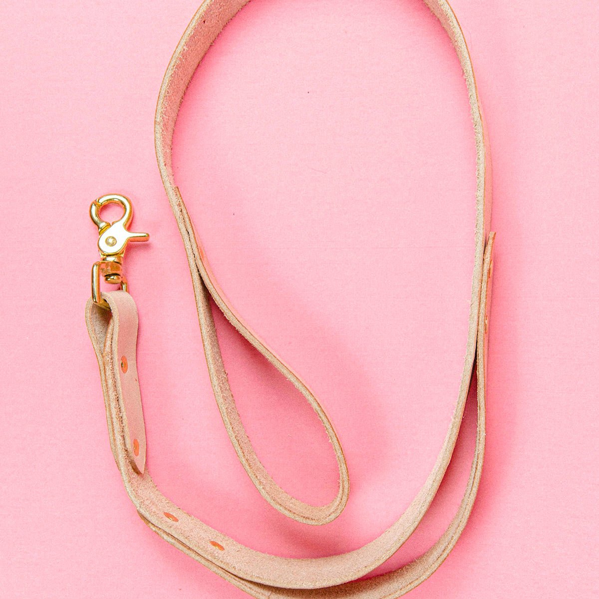 Dog Leash